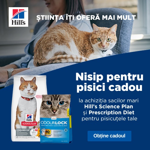 Hill's: nisip pentru pisici cadou la sacii mari Science Plan și Prescription Diet