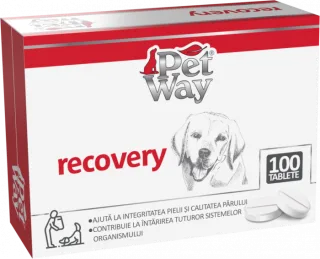 PetWay Recovery, 100 tablete