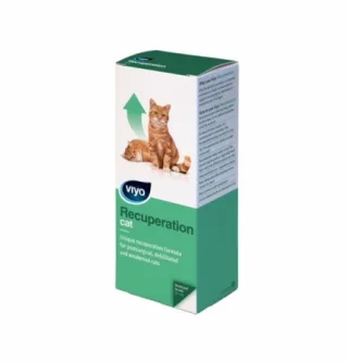 Viyo Recuperation Cat -150 ml