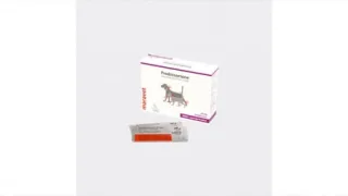 Prednicortone 20 mg, 250 tablete