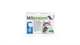 Milprazon Dog 12.5   125 mg (  5 kg), 2 tablete