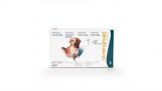 Stronghold Caine 240 mg (20 - 40 kg), 3 pipete