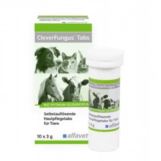Alfavet Clever Fungus Tabs 10x3g
