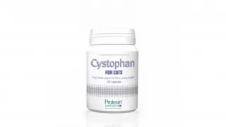 CYSTOPHAN pentru cats pisici - 30 capsule