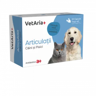 VetAria+ Supliment pentru articulatii Articulatii, cutie 30 capsule