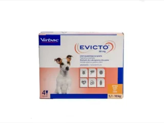 Evicto caini 60mg 5-10 kg x 4 pipete