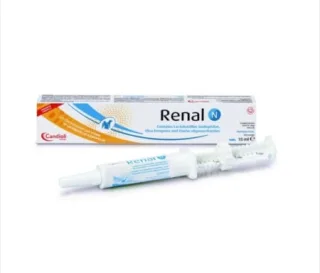 RENAL N paste 15 ML
