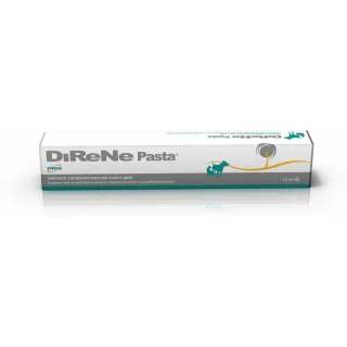 DIRENE Pasta, 15 ml
