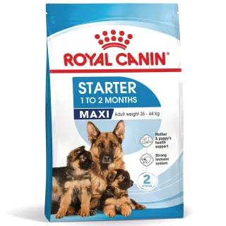 ROYAL CANIN Maxi Starter Mother & Babydog, mama și puiul, hrană uscată câini, 4kg