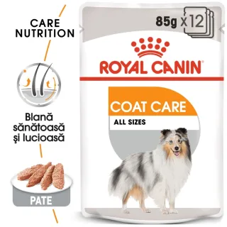 Royal Canin Coat Care Adult hrana umeda caine, blana sanatoasa si lucioasa (pate), 12x85 g