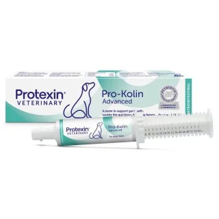 Pro-Kolin Advanced Caini, supliment alimentar, 60 ml