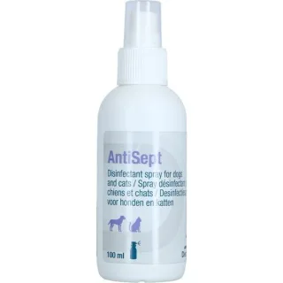 Antisept, 100 ml