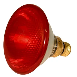 Bec Infrarosu LED Economy 175 W Rosu, Albert Kerbl