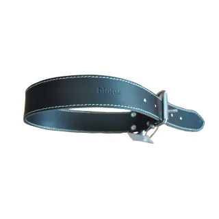 Zgarda Pentru Caini P Nr. 4, Negru 3.0/62 cm