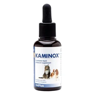 Kaminox, 60 ml