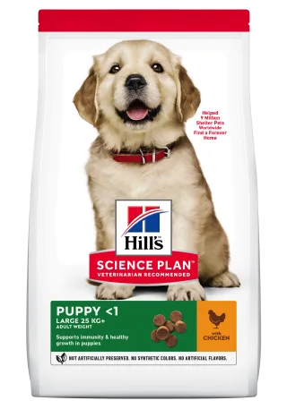 Hrana uscata caini, Hill's Science Plan Canine Puppy Large Breed Chicken, 14.5 kg