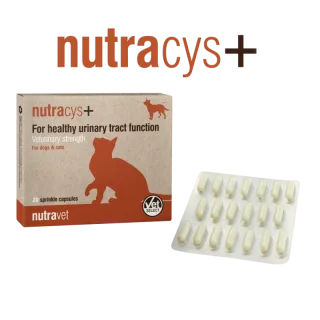 Nutravet Nutracys+, Caini & Pisici, 20 capsule