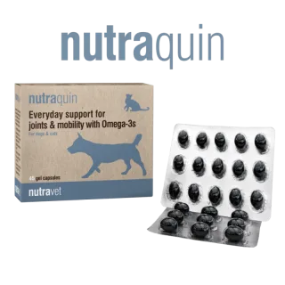 Nutravet Nutraquin, Caini & Pisici, 45 capsule moi