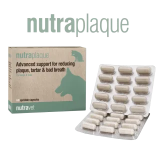 Nutravet NutraPlaque, Caini & Pisici, 60 capsule moi