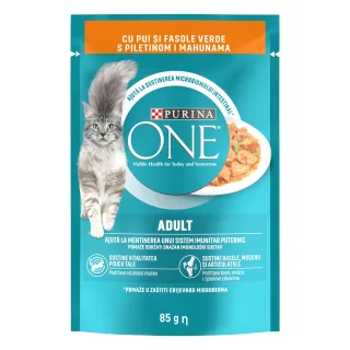 PURINA ONE ADULT, mini fileuri cu Pui si Fasole Verde in sos, 85 g