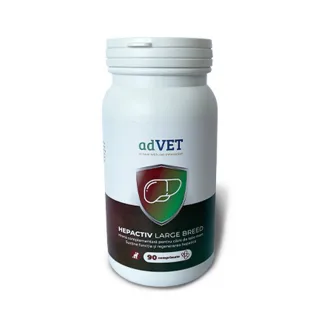 Hepactiv Large Breed, supliment alimentar, 90 capsule