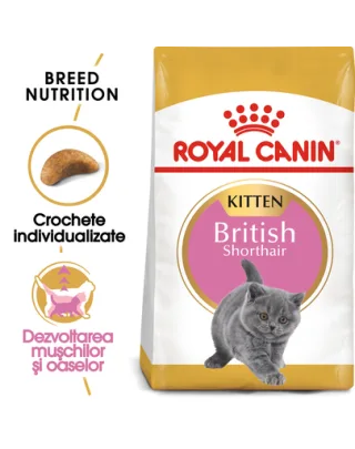 Royal Canin British Shorthair Kitten hrana uscata pisica junior, 10 kg