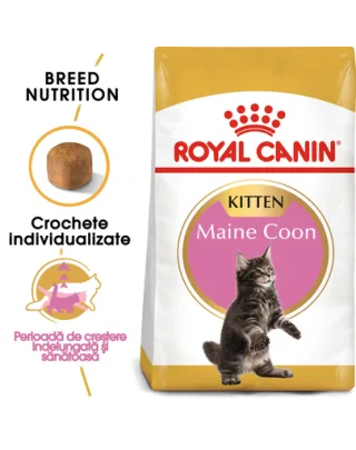 Royal Canin Maine Coon Kitten hrana uscata pisica junior, 10 kg