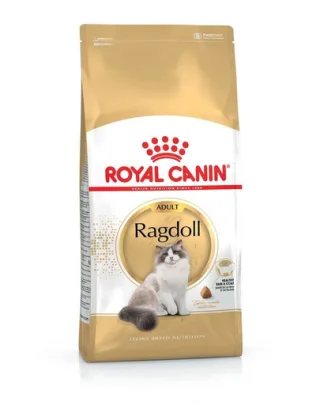 ROYAL CANIN Ragdoll Adult 20 kg (2 x 10 kg) hrană uscată pentru pisici Ragdoll adulte