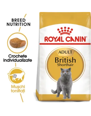 ROYAL CANIN British Shorthair Adult 20 kg (2 x 10 kg) hrană uscată pentru pisici adulte British Shorthair