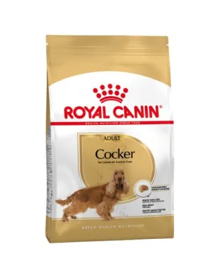 ROYAL CANIN Hrana uscata pentru cainii adulti de rasa Cocker adult 24 kg (2 x 12 kg)