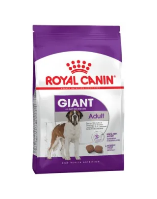 ROYAL CANIN Hrana uscata pentru cainii adulti de talie mare 30 kg (2 x 15kg)