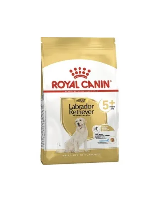 Royal Canin Labrador Adult 5+ hrana uscata caine senior, 12 kg