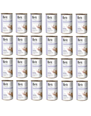 BRIT Veterinary Diet Gastrointestinal Salmon&amp;Pea sistem digestiv sensibil la caini 24x400 g hrana dietetica