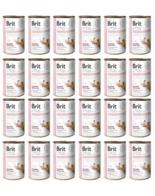 BRIT Veterinary Diet Hypoallergenic Salmon&amp;Pea caini cu alergii 24x400 g hrana dietetica