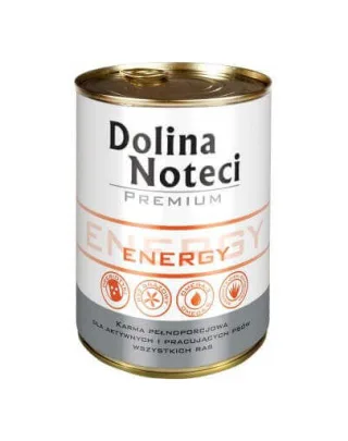 DOLINA NOTECI Premium Energy 400g
