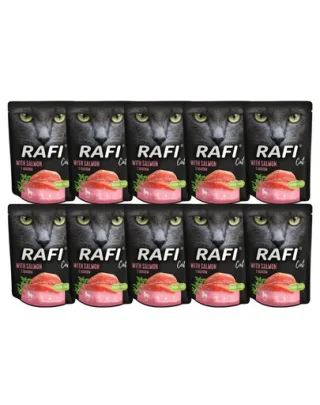 DOLINA NOTECI Rafi Cat mancare umeda pisici, cu somon 10x300 g