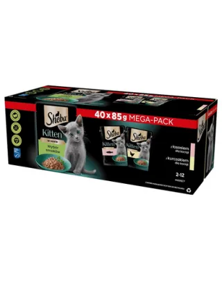 SHEBA Kitten Hrana umeda pentru pisoi 40x85 g cu somon si pui in sos
