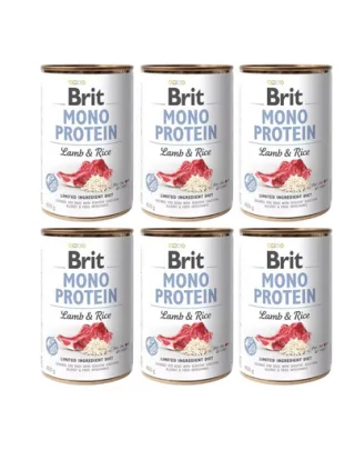 BRIT Mono Protein Lamb &amp; Rice 6x400 g miel si orez, hrana monoproteina caini