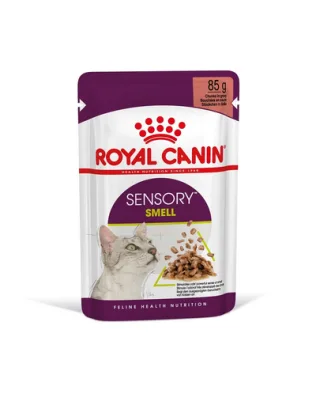 ROYAL CANIN Sensory Smell gravy 24x85 g bucăți în sos pentru pisici adulte pentru a stimula experiența olfactivă