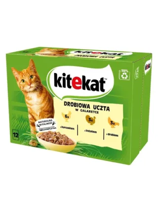 KITEKAT Pasare in aspic 12x85g hrana umeda pentru pisici cu pui, curcan, pasare