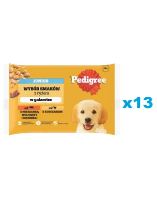 PEDIGREE Junior Set plicuri hrana catei, cu vita si ficat si orez, cu pui si orez, in aspic 52x100g