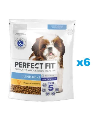 PERFECT FIT Junior