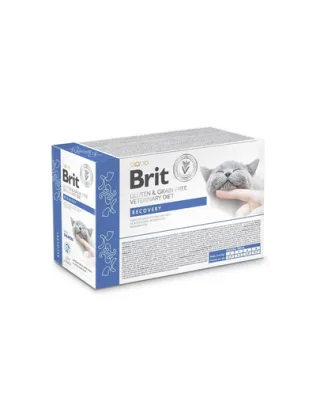 BRIT Veterinary Diet Grain Free Recovery fileuri în sos cu somon pentru pisici, 12x85g