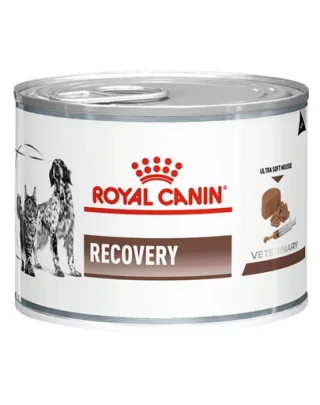 ROYAL CANIN Vet Dog/Cat Recovery 195 g hrana umeda dietetica pentru caini/pisici dupa interventii chirurgicale, in perioada de convalescenta