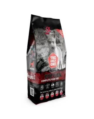 ALPHA SPIRIT Puppy hrană pentru căței 2x12 kg