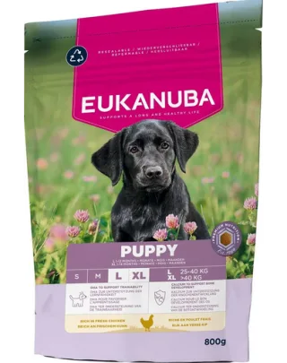 EUKANUBA Puppy Large Breeds Chicken 800 g hrană pentru căței rase mari bogată în pui proaspăt