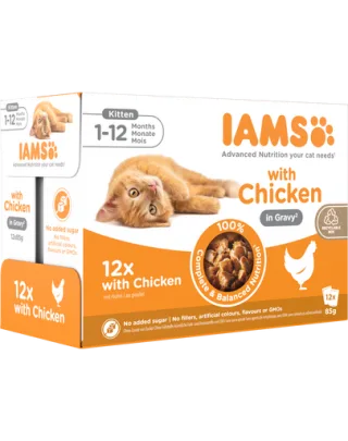 IAMS Advanced Nutrition Kitten Chicken in Gravy Pouch 12x85g hrană umedă pisoi, pui în sos