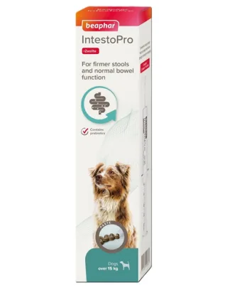 BEAPHAR IntestoPro pastă susținerea consistenței scaunului 2x20 ml pentru câini (peste 15 kg)