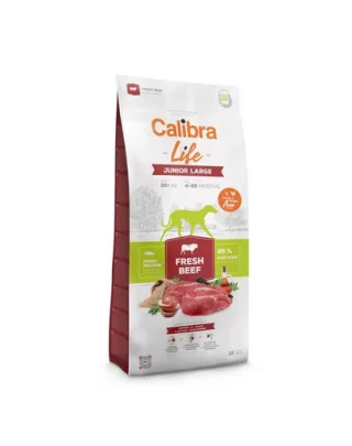 CALIBRA Dog Life Junior Large Fresh Beef 12 kg hrană uscată pentru juniori rase mari cu vită
