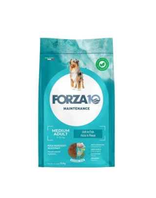 FORZA10 Medium Adult Maintenance Fish hrana pentru caini de talie medie, cu peste 12 kg